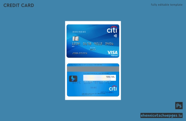 USA Citibank Visa Platinum Karte – Beispielvorschau